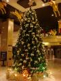 アンバサダーホテルのクリスマスツリー