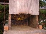 日本ミツバチ巣(巣箱）