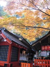 京都35