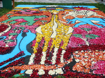 infiorata6