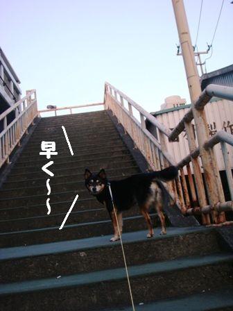 ちき階段