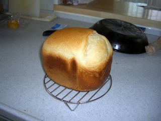 焼きたてパン