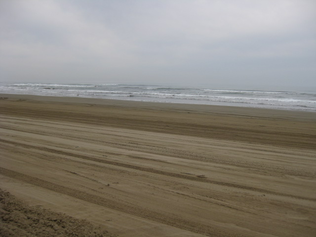 IMG_1589.jpg