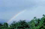 空をかける虹