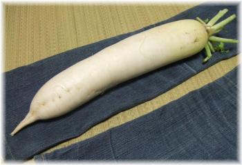 大根足