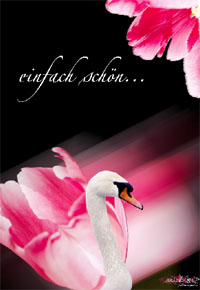 swan
