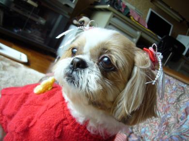 090226-6.jpg
