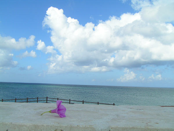 秋でも泳げる沖縄の海だよ