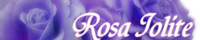 Rosa Iolite