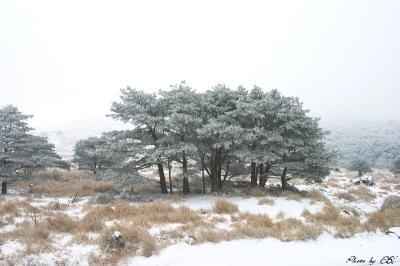 えびの高原雪景色