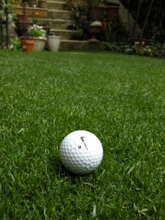芝庭のゴルフボール