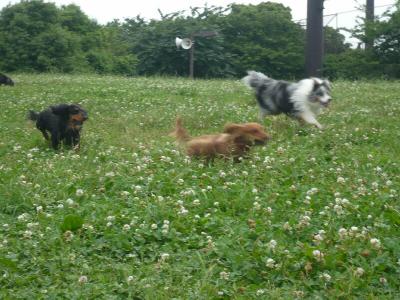 20070626232632.jpg