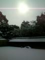 雪の龍安寺石庭１