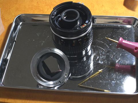 http://blog-imgs-18.fc2.com/y/c/t/ycttim2008/R0015474.jpg